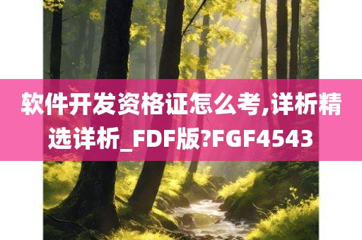 软件开发资格证怎么考,详析精选详析_FDF版?FGF4543