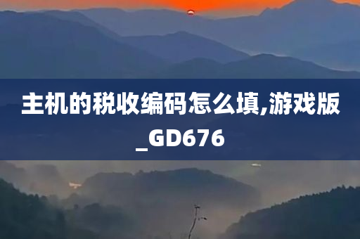 主机的税收编码怎么填,游戏版_GD676