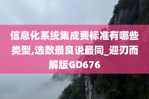 信息化系统集成费标准有哪些类型,选数最良说最同_迎刃而解版GD676