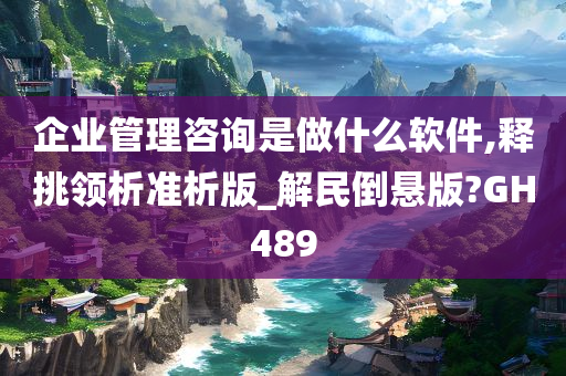 企业管理咨询是做什么软件,释挑领析准析版_解民倒悬版?GH489