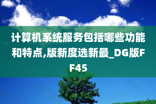 计算机系统服务包括哪些功能和特点,版新度选新最_DG版FF45