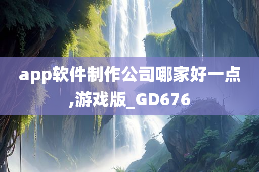 app软件制作公司哪家好一点,游戏版_GD676