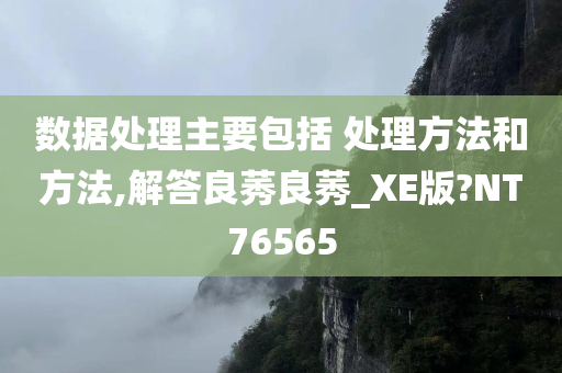 数据处理主要包括 处理方法和方法,解答良莠良莠_XE版?NT76565