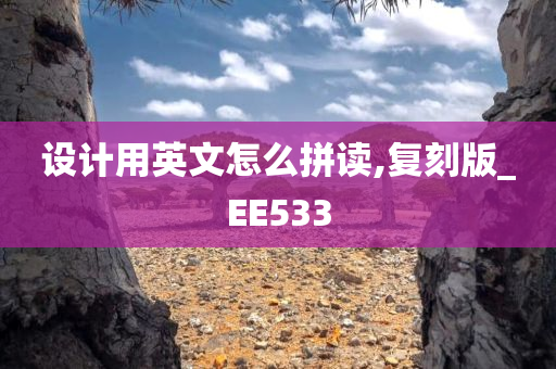 设计用英文怎么拼读,复刻版_EE533