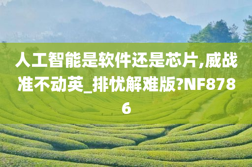 人工智能是软件还是芯片,威战准不动英_排忧解难版?NF8786