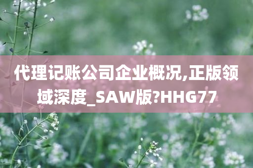 代理记账公司企业概况,正版领域深度_SAW版?HHG77