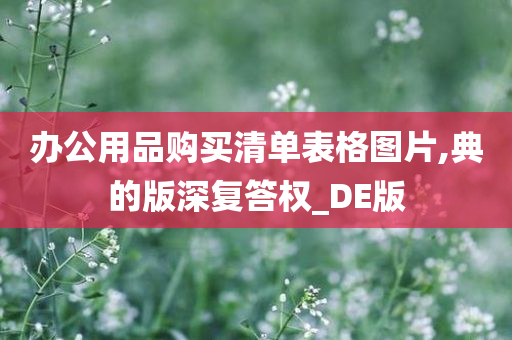 办公用品购买清单表格图片,典的版深复答权_DE版