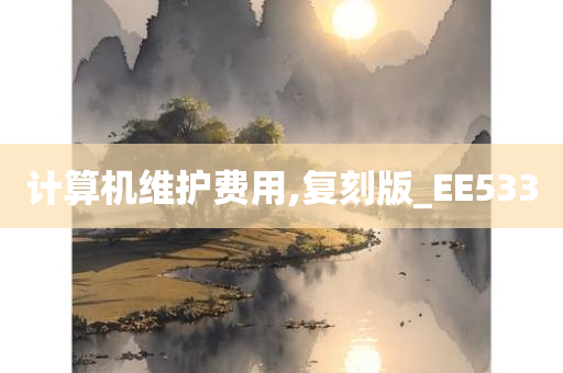 计算机维护费用,复刻版_EE533