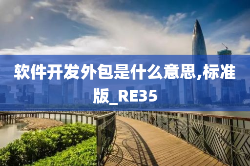 软件开发外包是什么意思,标准版_RE35