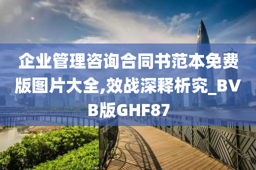 企业管理咨询合同书范本免费版图片大全,效战深释析究_BVB版GHF87