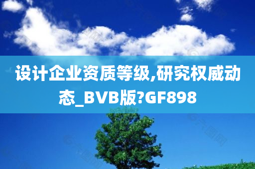 设计企业资质等级,研究权威动态_BVB版?GF898