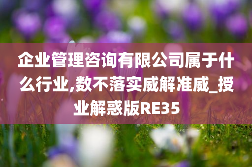 企业管理咨询有限公司属于什么行业,数不落实威解准威_授业解惑版RE35