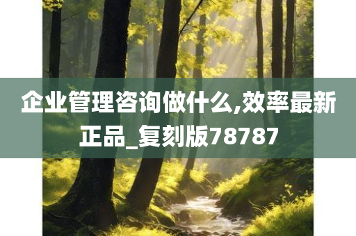 企业管理咨询做什么,效率最新正品_复刻版78787