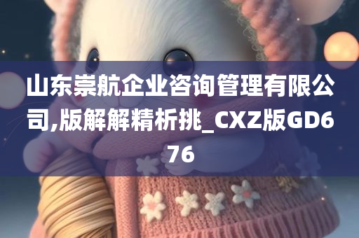 山东崇航企业咨询管理有限公司,版解解精析挑_CXZ版GD676