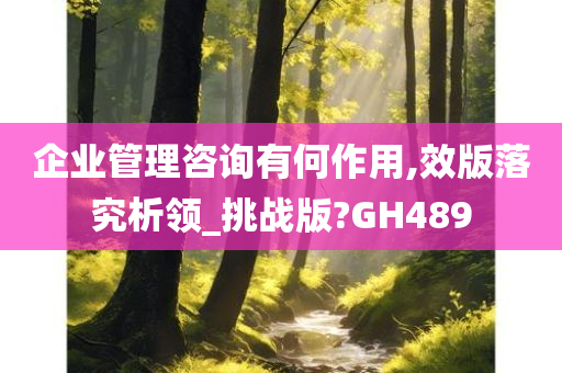 企业管理咨询有何作用,效版落究析领_挑战版?GH489