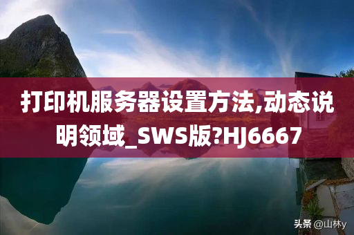 打印机服务器设置方法,动态说明领域_SWS版?HJ6667