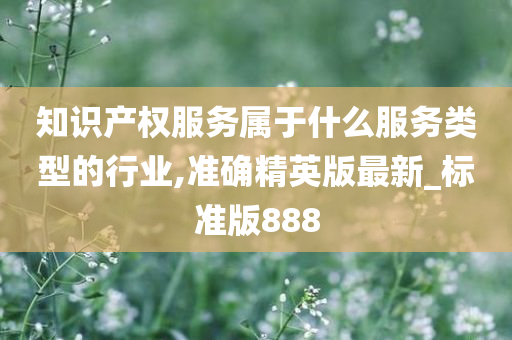 知识产权服务属于什么服务类型的行业,准确精英版最新_标准版888